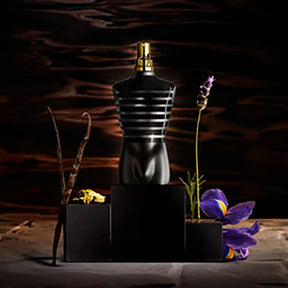 LMale Pour Homme Absolu Parfum